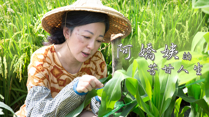 阿娇姨的苦甘人生封面图