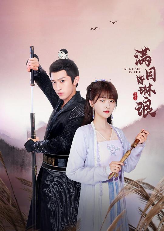 满目皆琳琅封面图