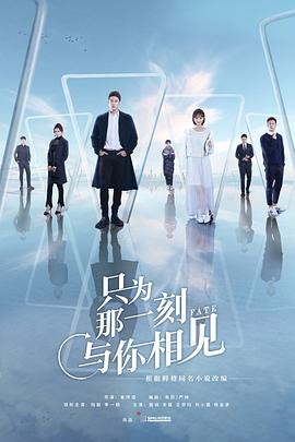 只为那一刻与你相见封面图