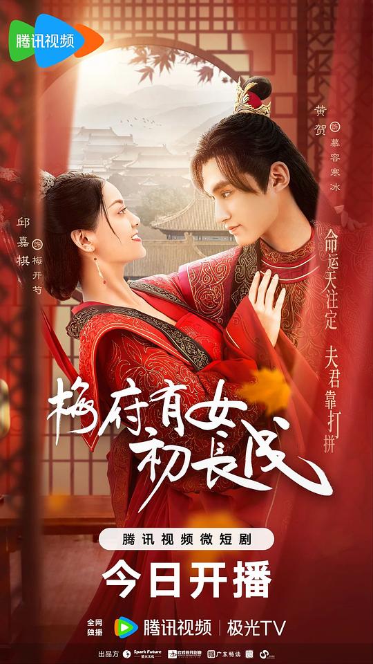 梅府有女初长成封面图