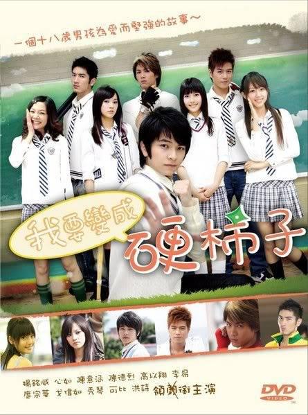 我要变成硬柿子封面图