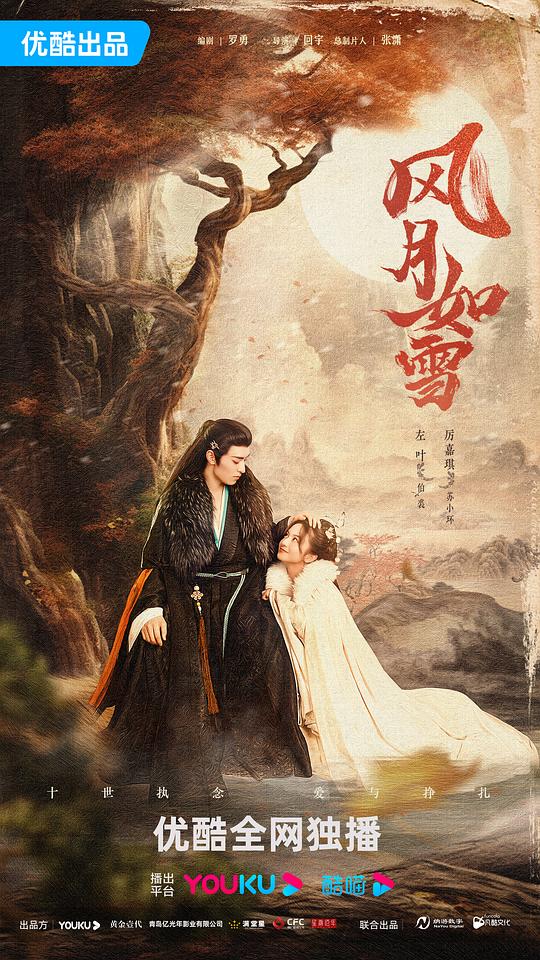 风月如雪封面图