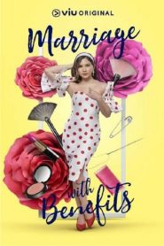 假扮夫妻封面图