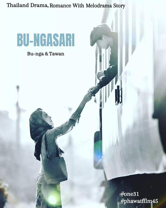 垂花琴木封面图