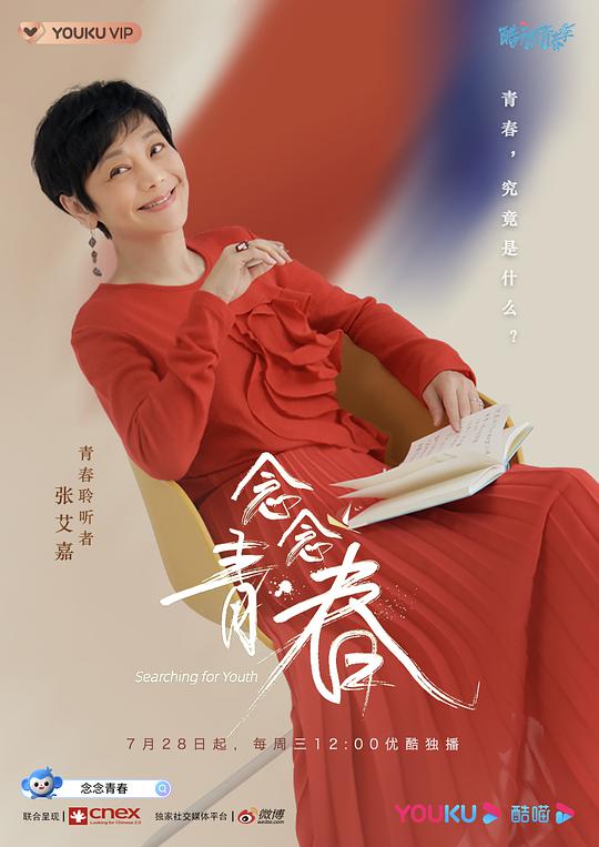 念念青春Plus版海报图片