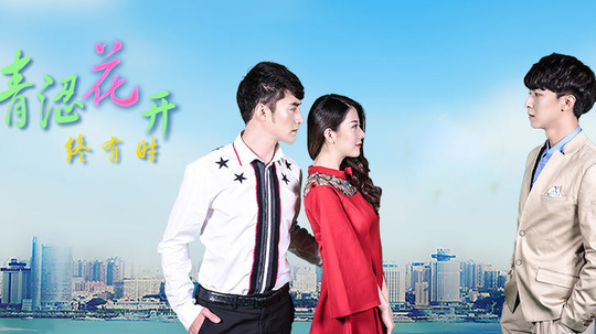 青涩花开终有时封面图