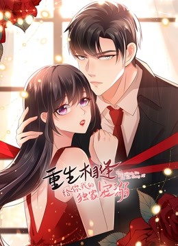 重生相逢：给你我的独家宠溺第二季封面图