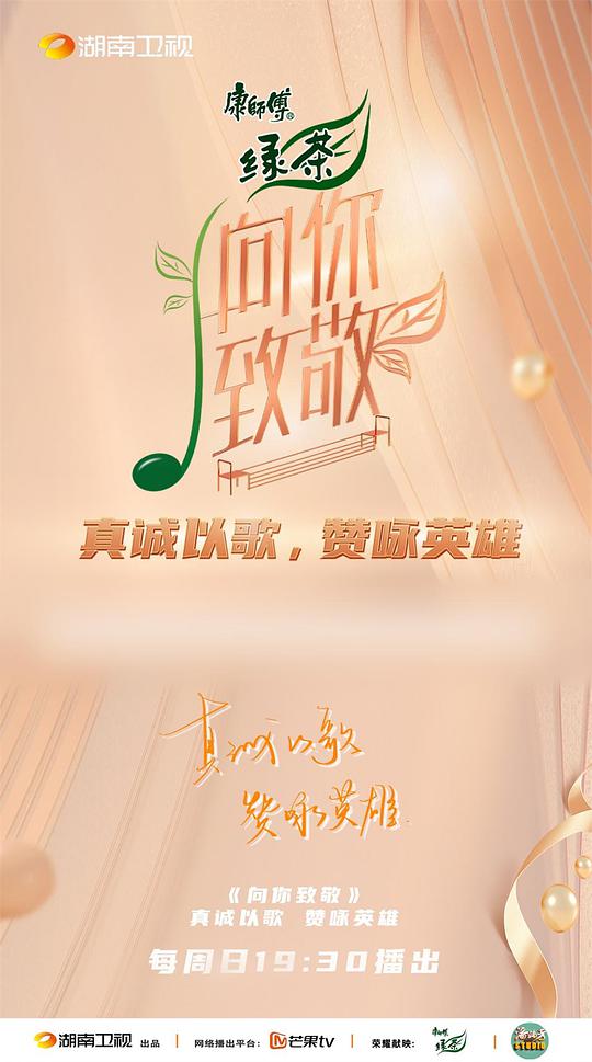 向你致敬封面图