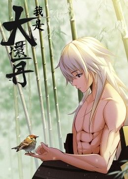 我是大还丹封面图