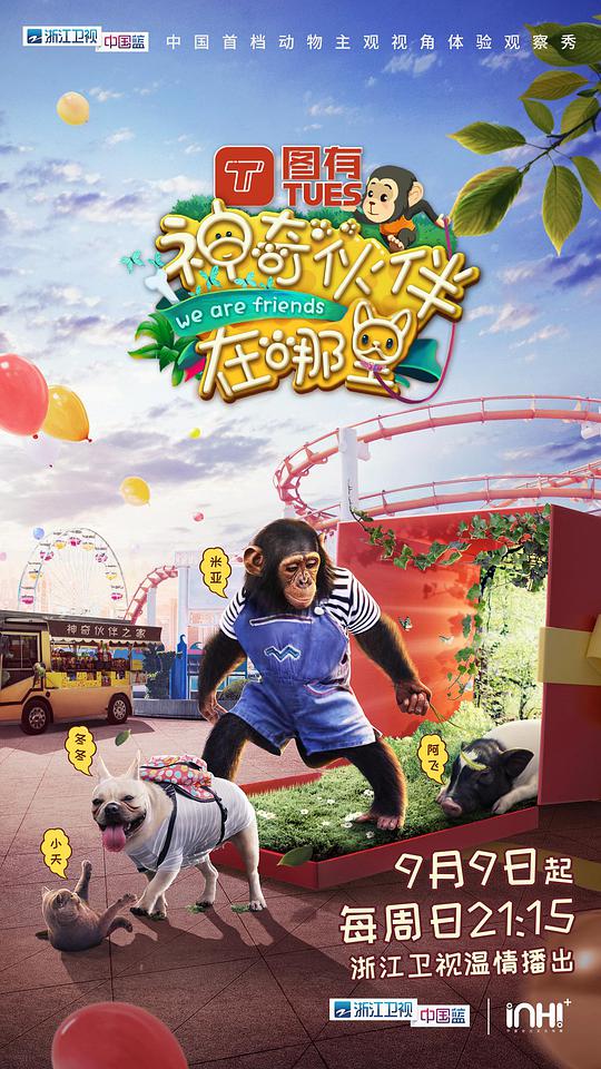 神奇伙伴在哪里封面图