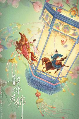 韶华若锦封面图