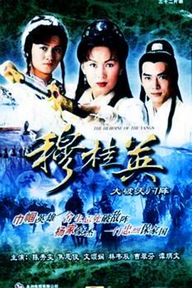 穆桂英之大破天门阵国语封面图