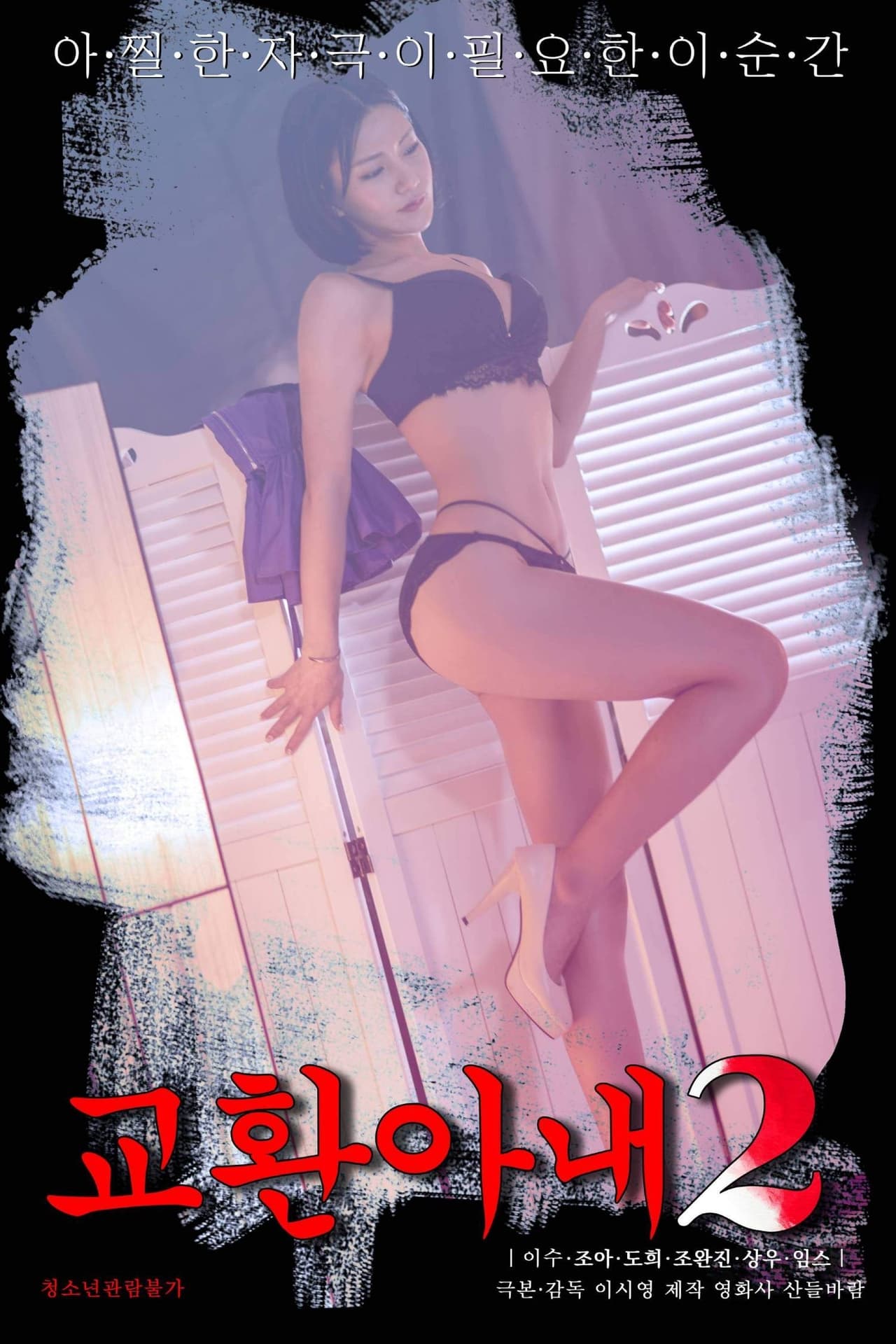 交换妻子2封面图