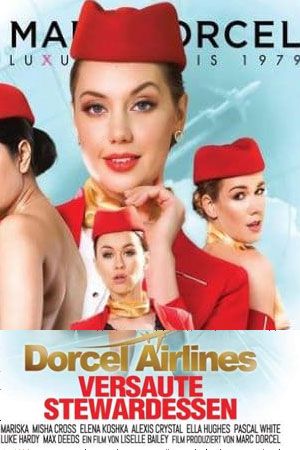 法国空姐3封面图