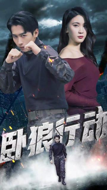 卧狼行动封面图