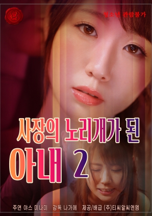 社长的玩物妻子第二卷封面图